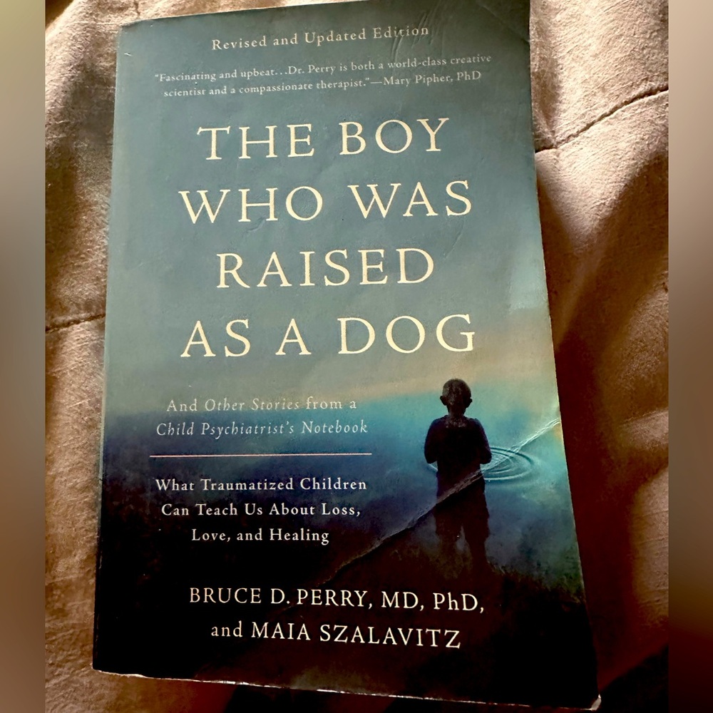 Dr. Bruce Perry book on trauma
